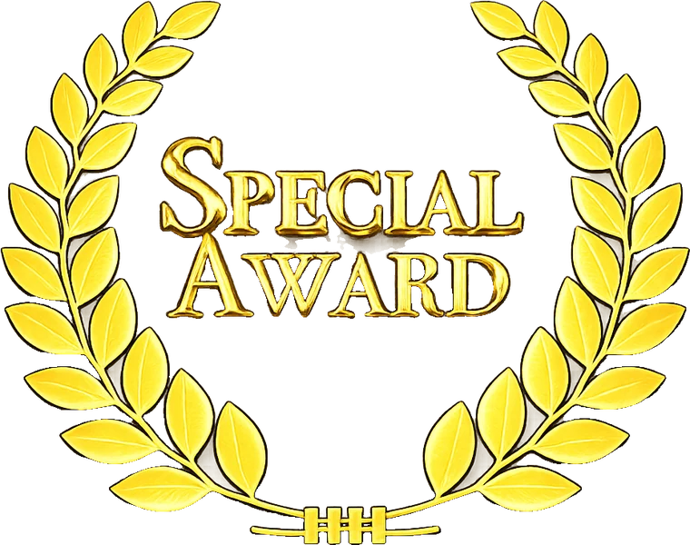Special Award trophy