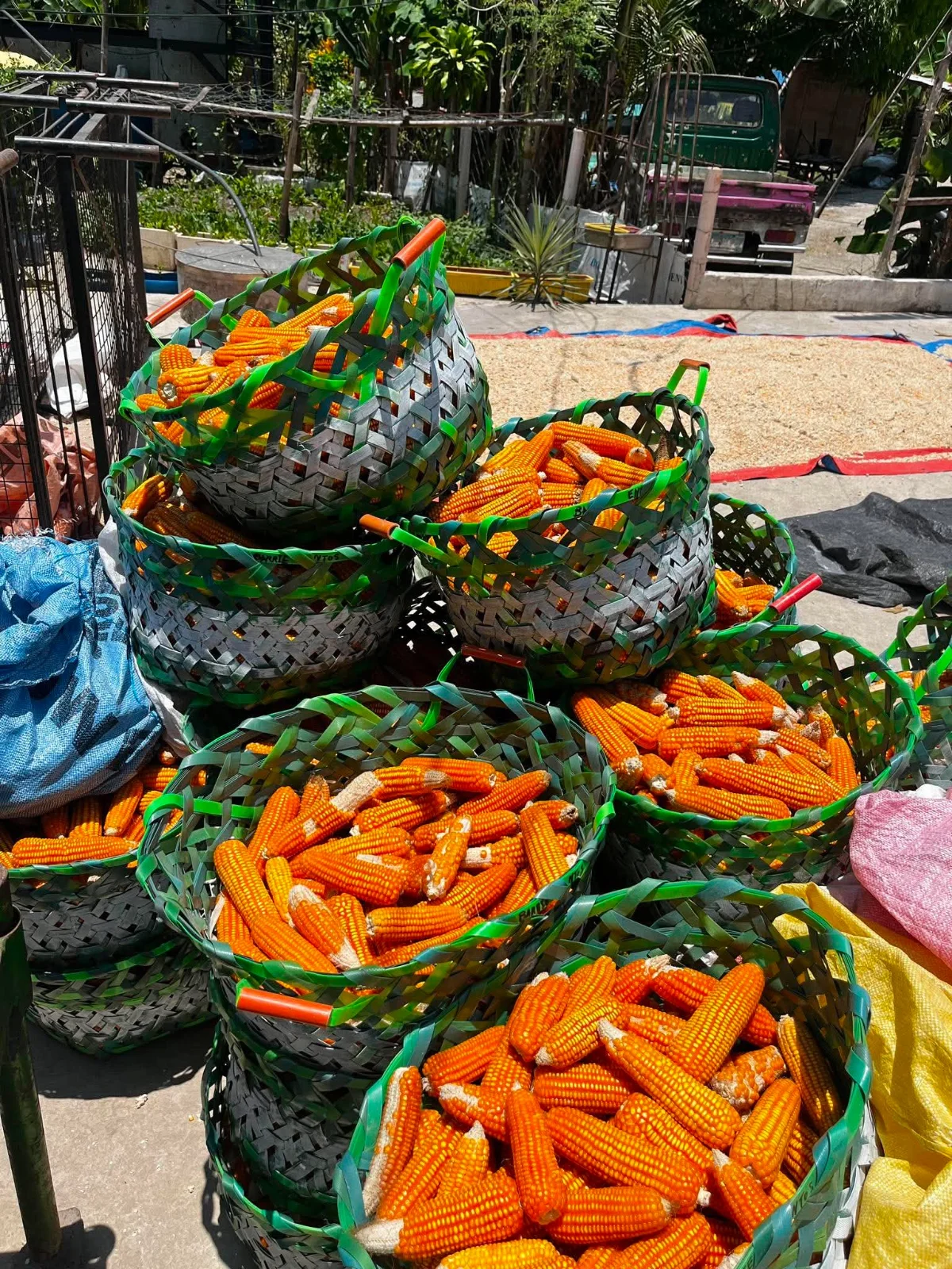 MAISang Pangarap — photo 1